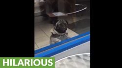 hey ich habe auch hunger