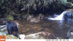 Hier gehen wir über den Bach hier gehen wir ueber den bach