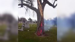 Hilfe der Baum brennt auf dem Friedhof hilfe der baum brennt auf dem fr