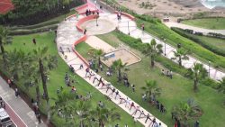 hund auf skateboard weltrekord