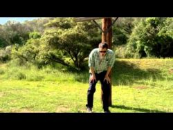 hund beisst mann in den hintern