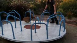 Hund hat Spaß auf dem Karussell und zeigt Kunststücke hund hat spass auf dem karussell