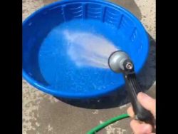 hund mag das wasser und spielt m