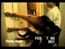 Hund möchte nicht gebadet werden hund moechte nicht gebadet werde