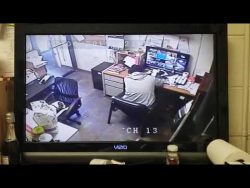 hund setzt sich zum herrchen