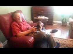 Hund stellt sich Tot hund stellt sich tot