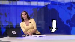 hund unterbricht narichtensendun