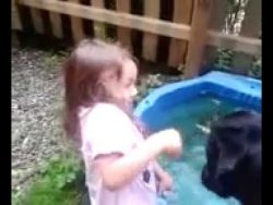 Hund verteilt einen Kuss hund verteilt einen kuss