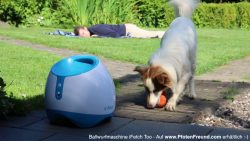 Hunde Ballwurf Maschine macht viel Spaß hunde ballwurf maschine macht vi