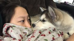 hunde wecken herrchen suess auf