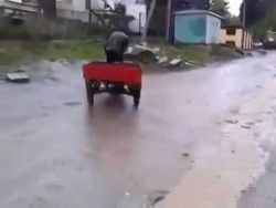 ich fahre besoffen herum