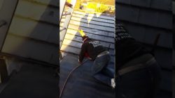 ich hab keinen stress egal ob es