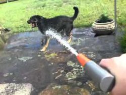 ich kann dich schon noch fangen