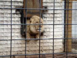 ich moechte heute keine besucher