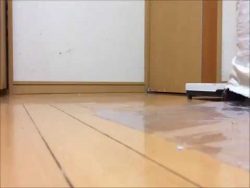 Ich schau mal kurz vorbei ich schau mal kurz vorbei