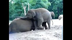 ich will doch nur spielen meint