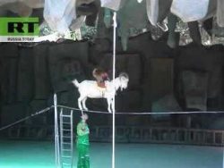 immer hoeher und hoeher hinaus