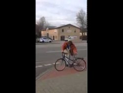 Immer schön den Autos winken immer schoen den autos winken