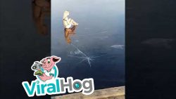 in einen zugefrorenen see spring