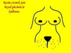 Jeder denkt falsch jeder denkt falsch