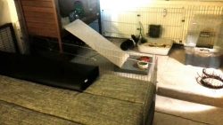 Kaninchenstall - Erweiterung für die Wohnung kaninchenstall erweiterung fuer