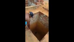 katze befreit sich selber aus de