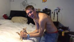 Katze braucht viel Aufmerksamkeit katze braucht viel aufmerksamkei