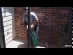 katze mit klappsessel fangen wol