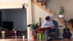 katze raecht sich an boesen gita