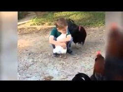 kind umarmt ein huhn zum kuschel