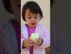 kind verwechselt zwiebel mit apf