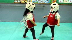 kindern taekwondo beibringen wol