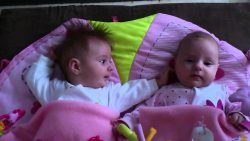 Kleine Zwillinge unterhalten sich miteinander kleine zwillinge unterhalten sic