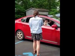 kleines maedchen lernt immer noc