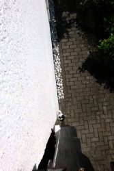 Kletterkatze wetzt die Krallen kletterkatze wetzt die krallen