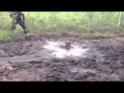 kopfsprung ins schlammloch