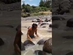 krebs am sack im fluss