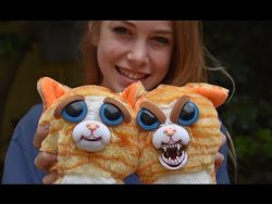 kuscheltiere mit gruseliger frat