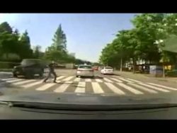 lausiger versicherungsbetrueger