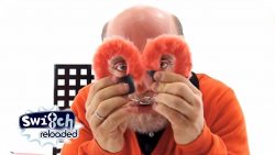 leschs kosmos seitensprung