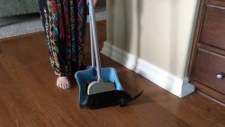 Liebling wir haben eine Katzenplage liebling wir haben eine katzenpl