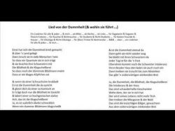 lied von der dummheit und wohin