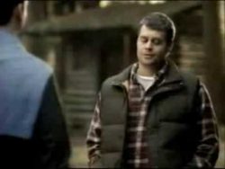 lustige bilder von tieren und me