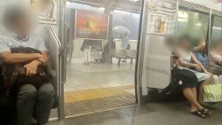 mach doch mal einer die zugtuer