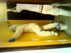 maler haben langeweile auf der a