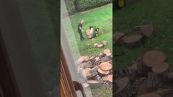 Mann bekommt beim Holzhacken einen Wutanfall mann bekommt beim holzhacken ein