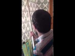 mann hat angst vor spinnen