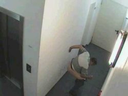 mann scheisst in den flur