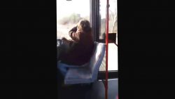 Mein Freund der Baum ist tot mein freund der baum ist tot