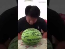 Melonen Headbutt melonen headbutt